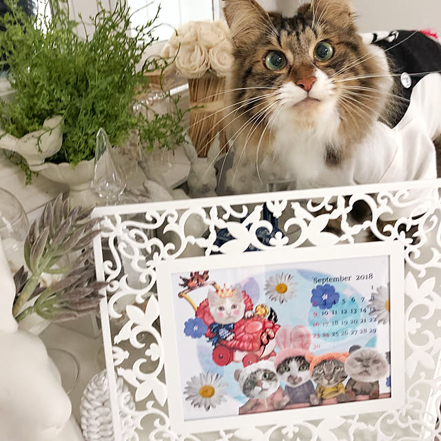 yuchiさんの実例写真