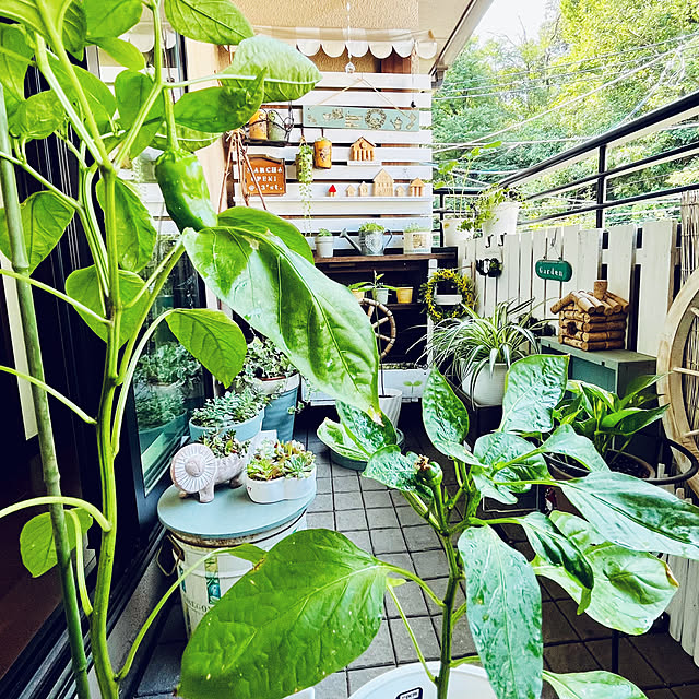 NAOさんの部屋