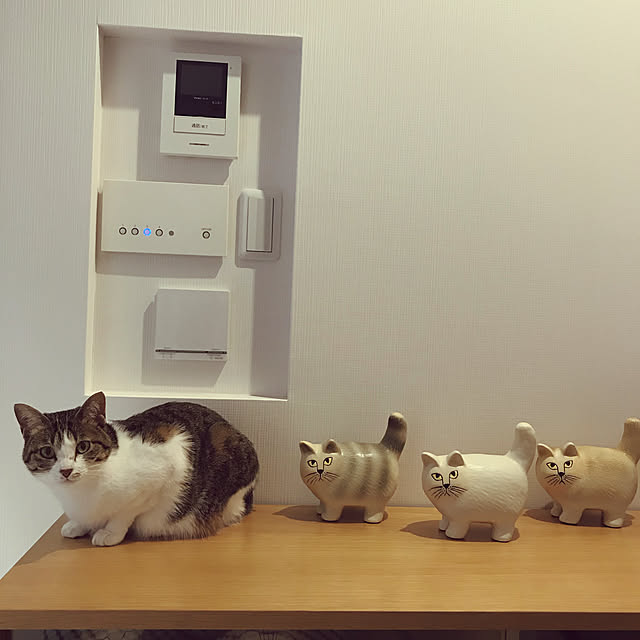 mpwさんの実例写真