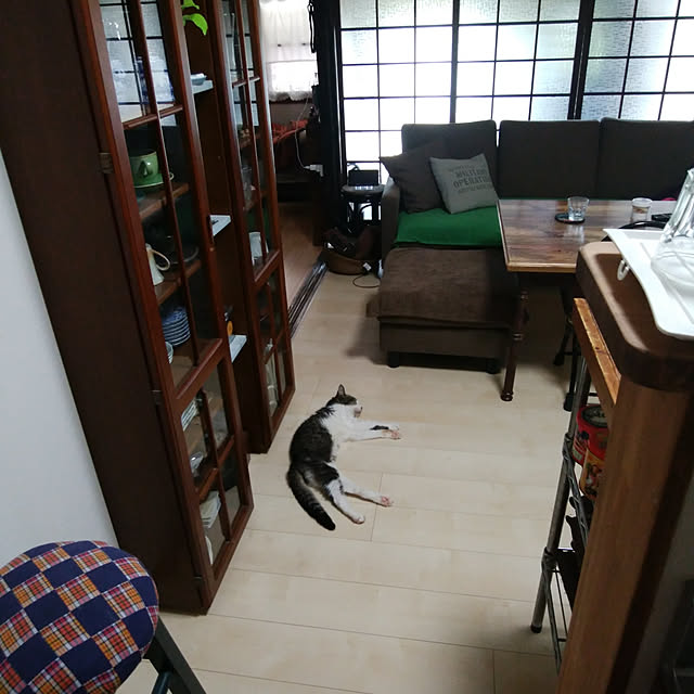 montomoさんの実例写真