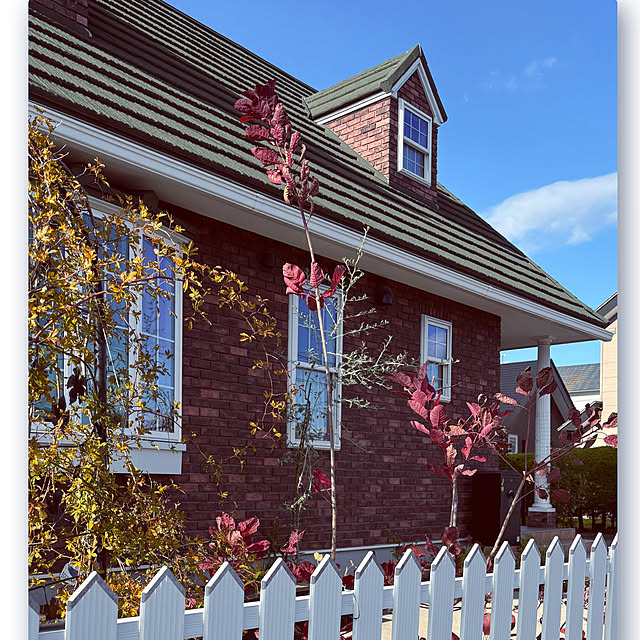 usagiさんの実例写真