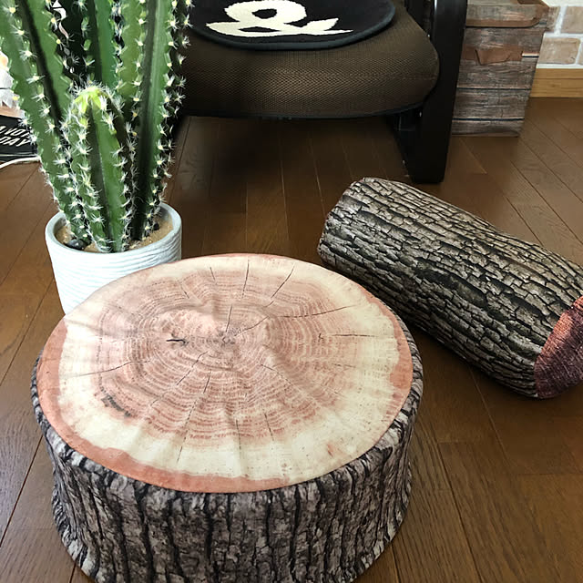 rintarotantan7さんの実例写真