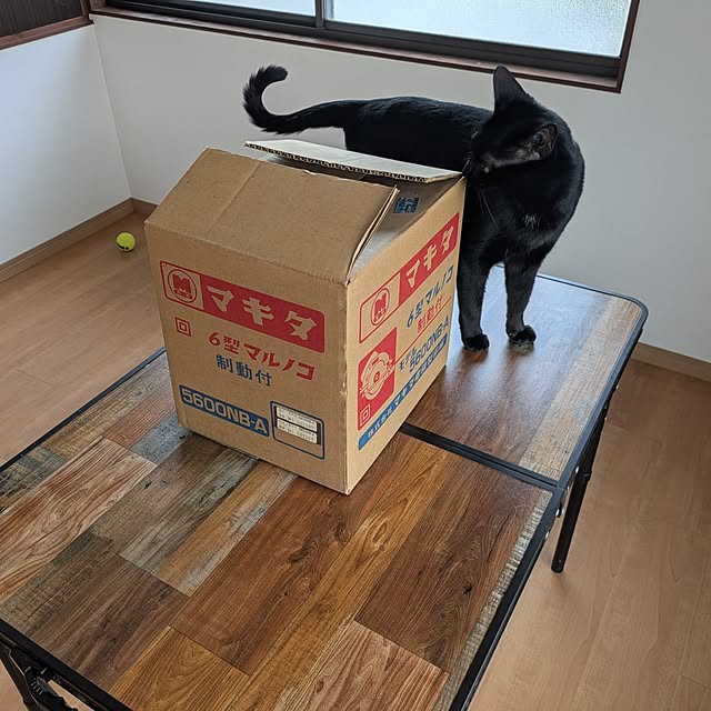 asaさんの部屋