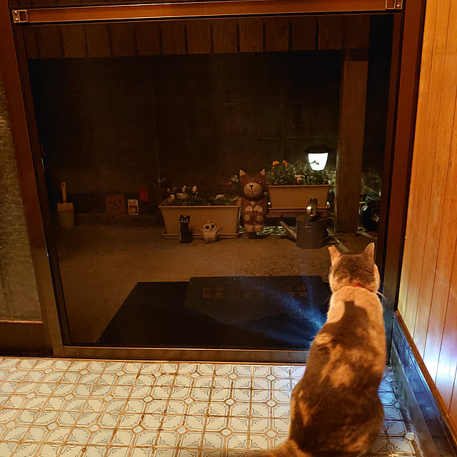 fukuさんの実例写真