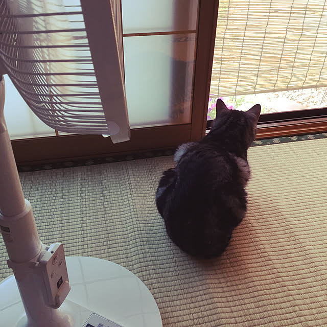 richanさんの実例写真