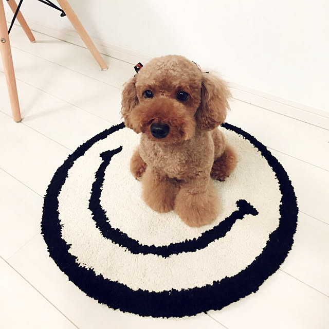 cocoaさんの実例写真