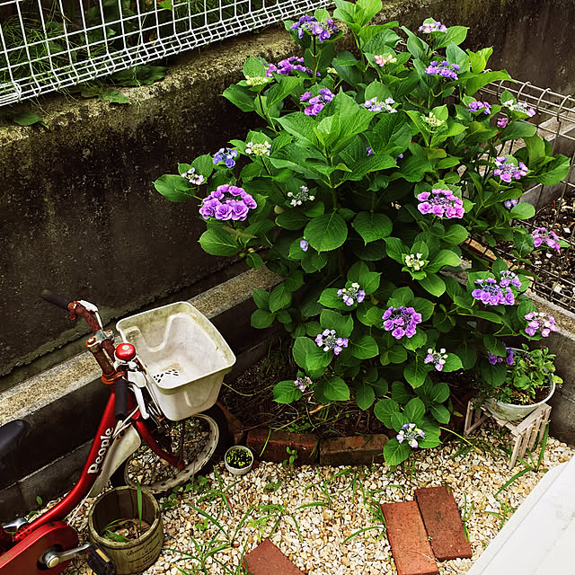 Midoriさんの実例写真