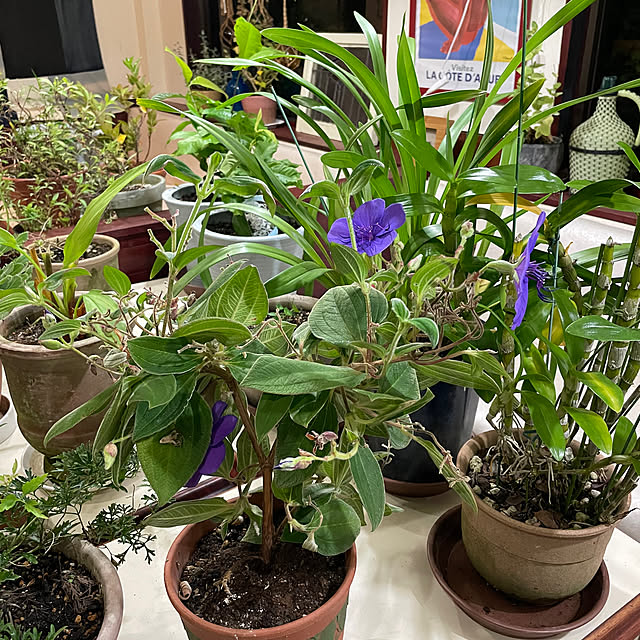 shin0719さんの部屋