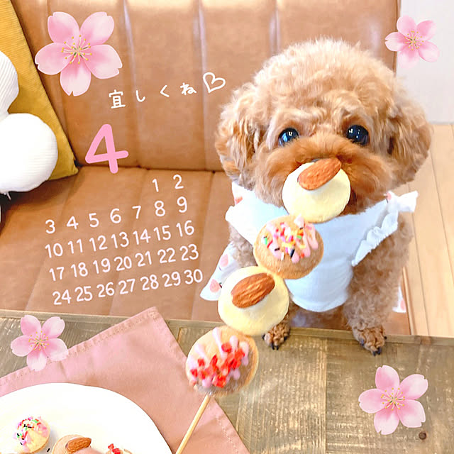 e.and.m.mamaさんの実例写真