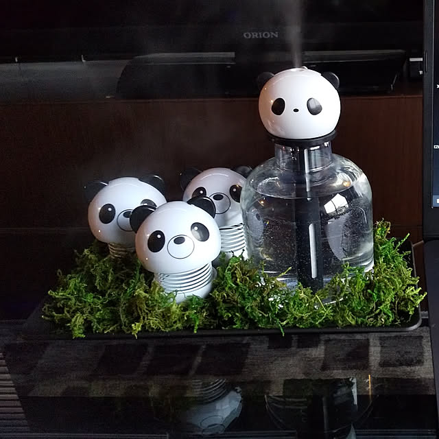 kazさんの実例写真