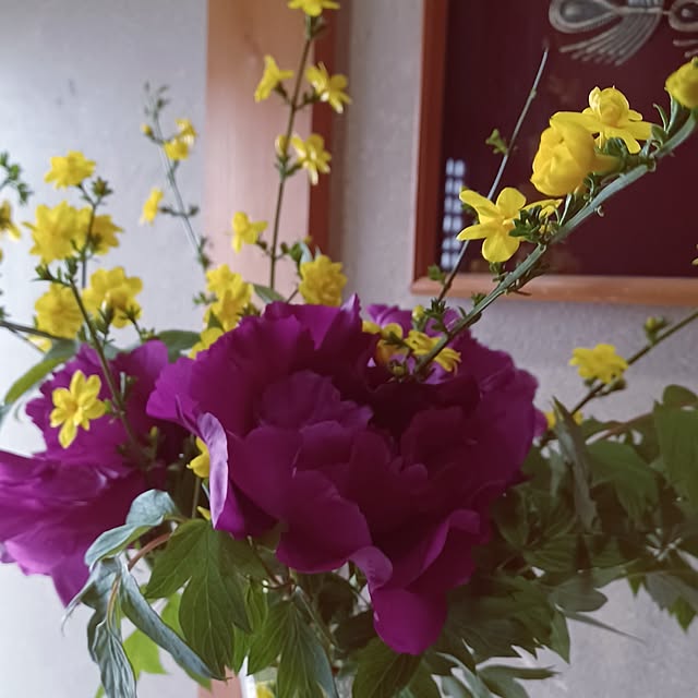 hiro.904さんの部屋