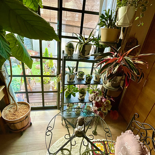 seana3761さんの部屋