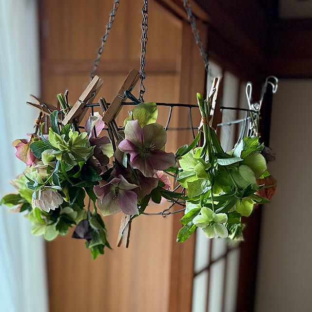 buchiさんの部屋