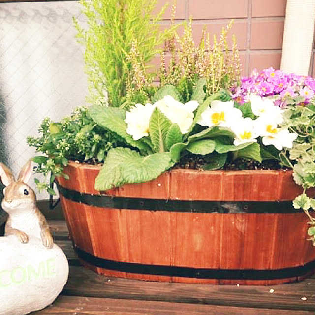 Hanakoさんの実例写真