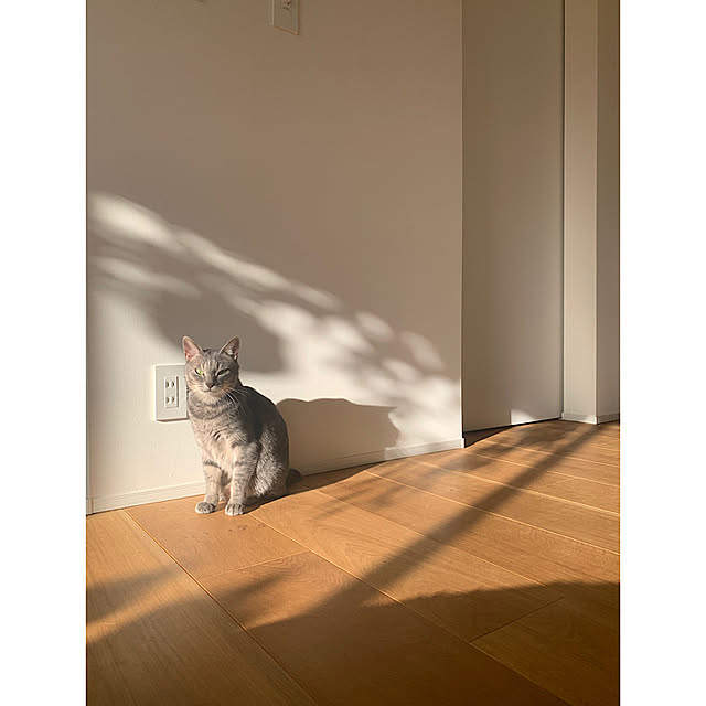 cocokuro0124さんの実例写真