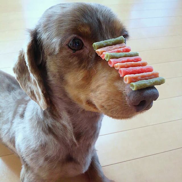 Sakikoさんの実例写真