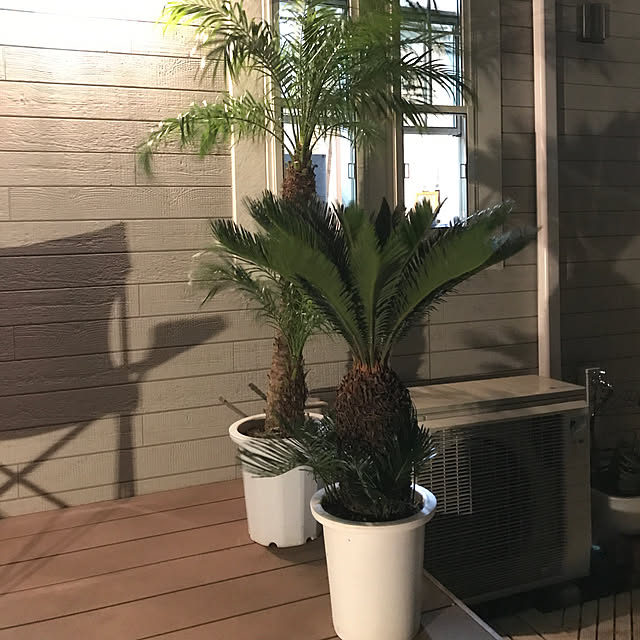 simamuuさんの実例写真