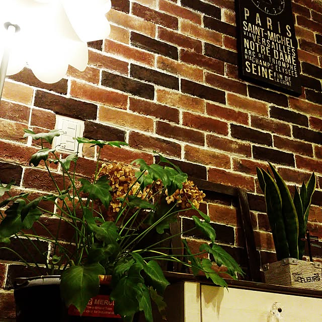 tomoppさんの実例写真