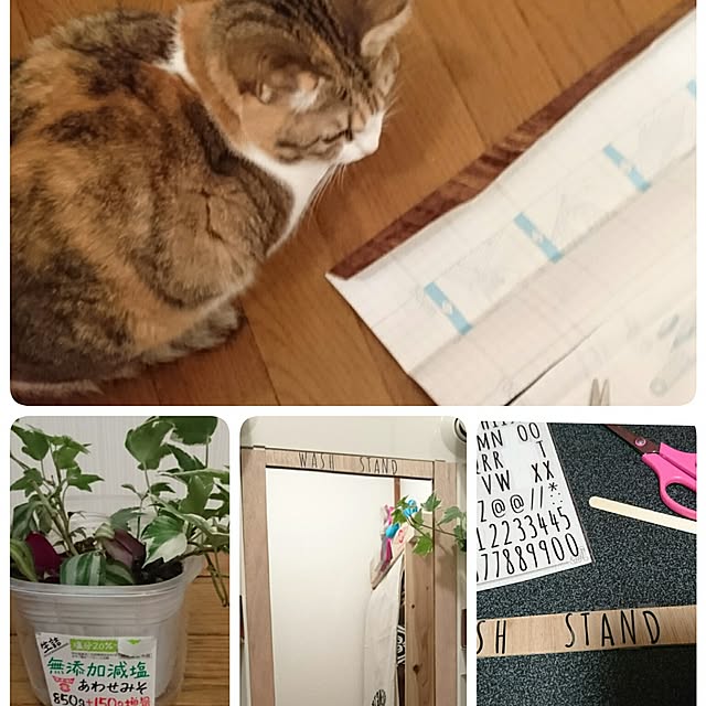 berariさんの実例写真