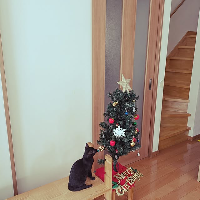 MyuRuuさんの実例写真