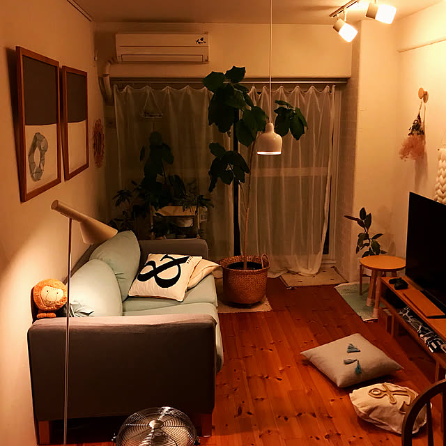 Hisayoさんの実例写真