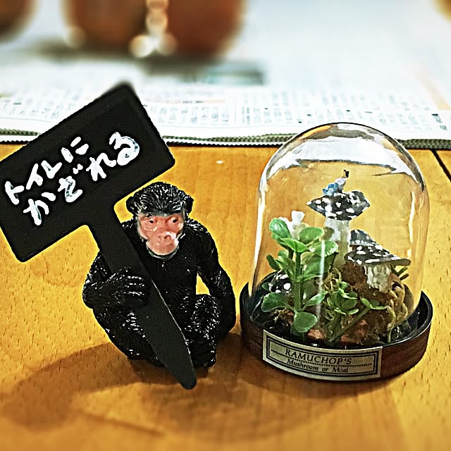 ramuchop3000さんの実例写真