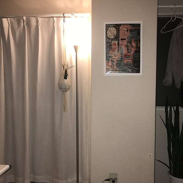 実例写真