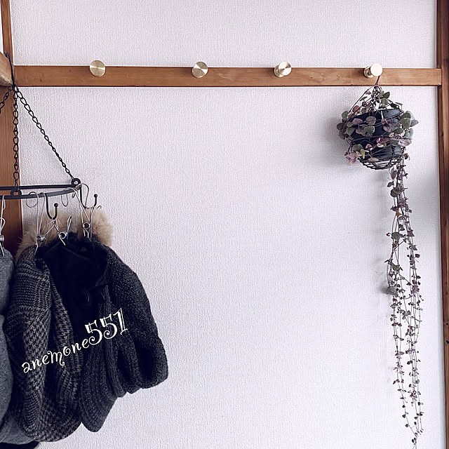 anemone551さんの実例写真