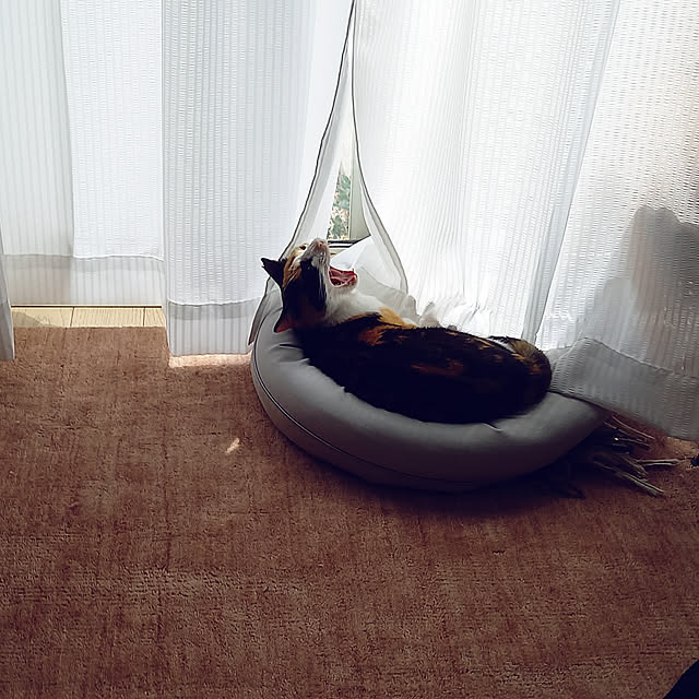 Green-leaf.1206さんの実例写真