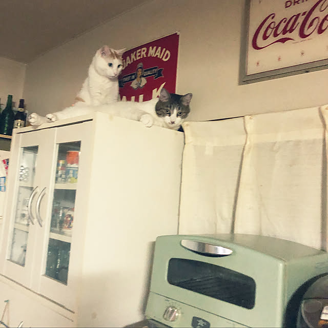 arayanさんの実例写真