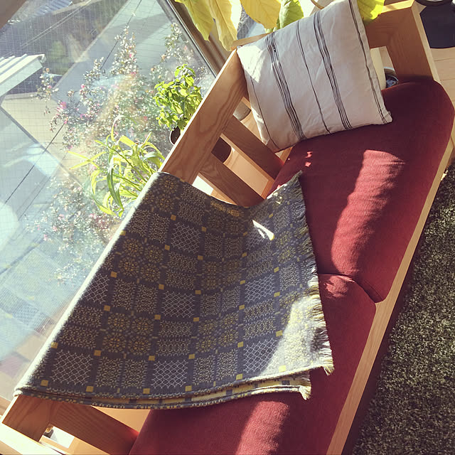 quronekoさんの実例写真