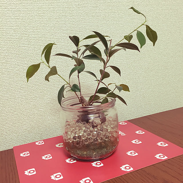 sakuraさんの実例写真