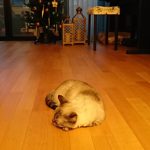bonobono54さんの実例写真