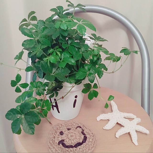 nonさんの実例写真
