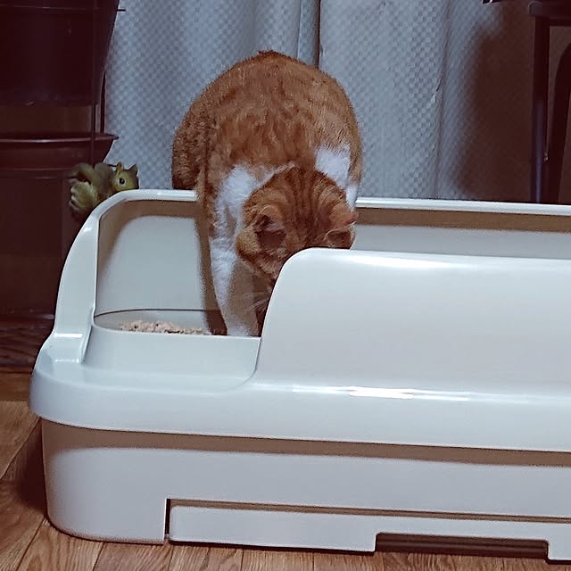 NOAHさんの部屋