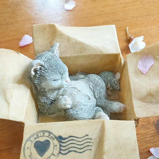 teamoさんの部屋