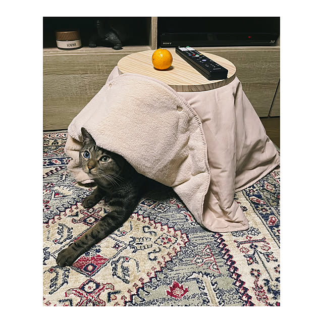 BTGさんの実例写真