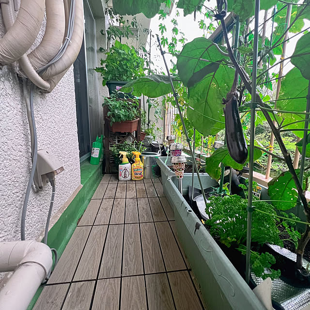 sumoanzuさんの部屋