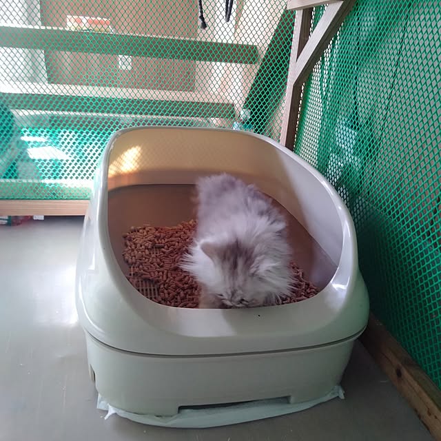 makaronさんの実例写真