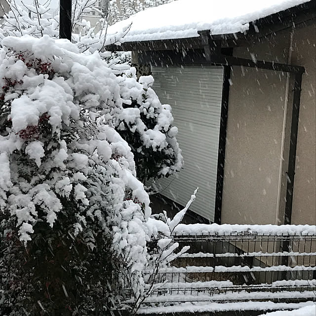 Koyoshiさんの実例写真
