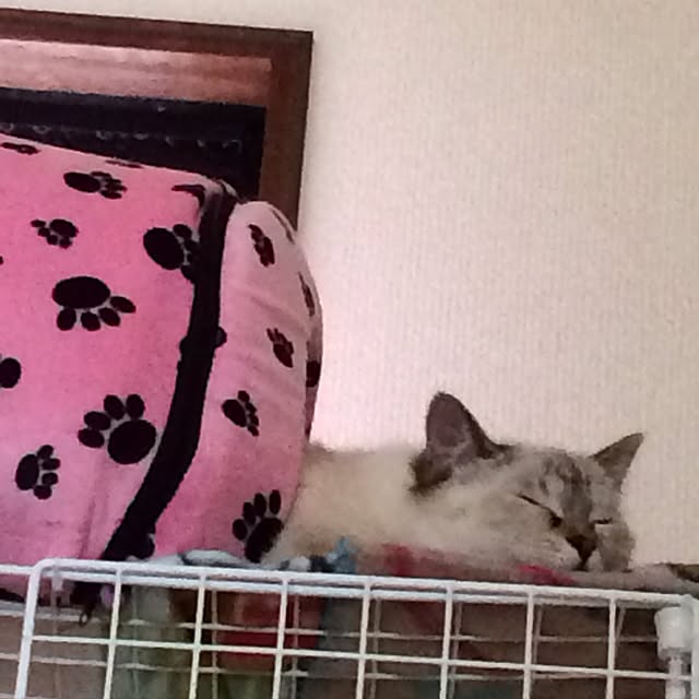 nachuさんの実例写真