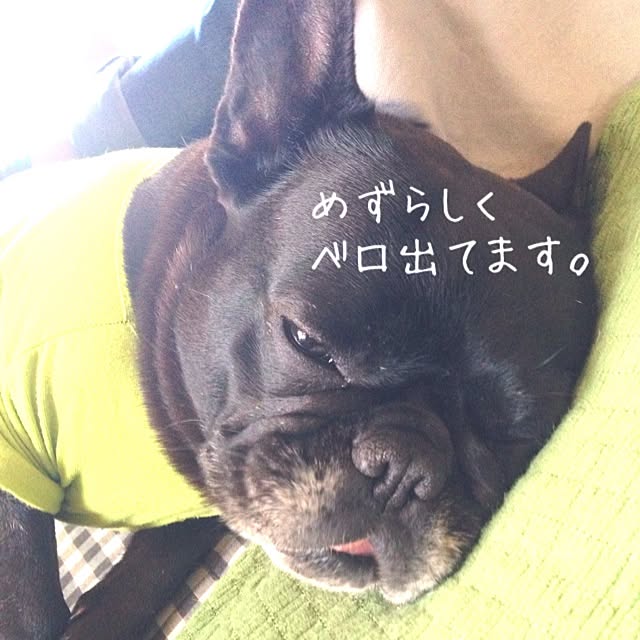 38coreさんの実例写真