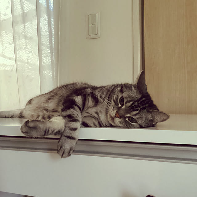 richanさんの実例写真