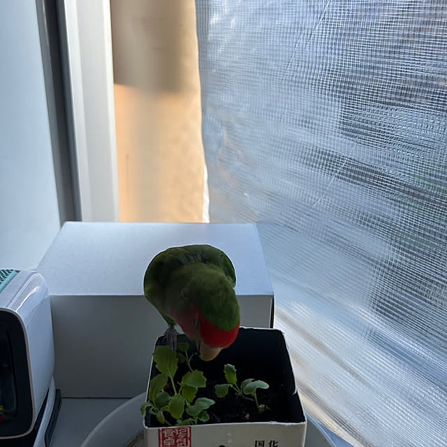 t.and.sakuraさんの実例写真