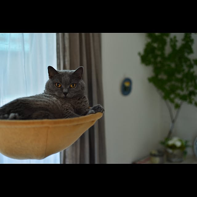 mirinさんの実例写真