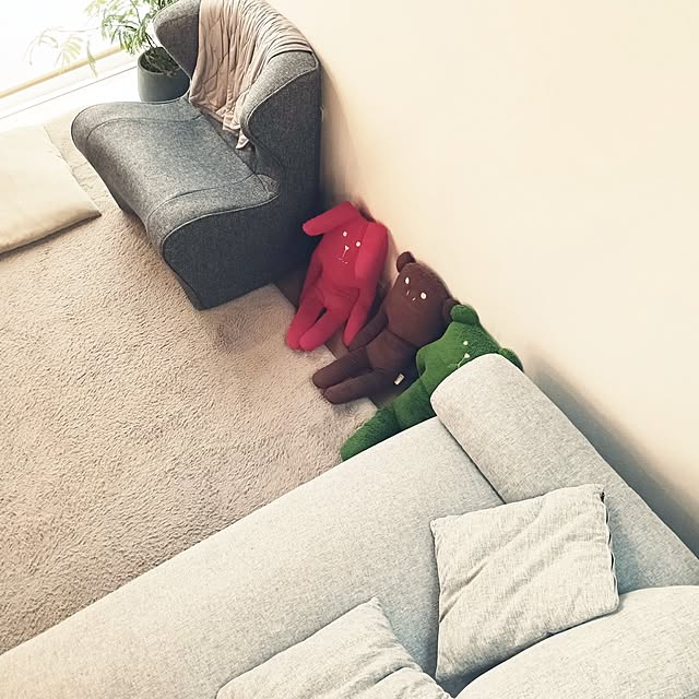 kiyrumoさんの実例写真