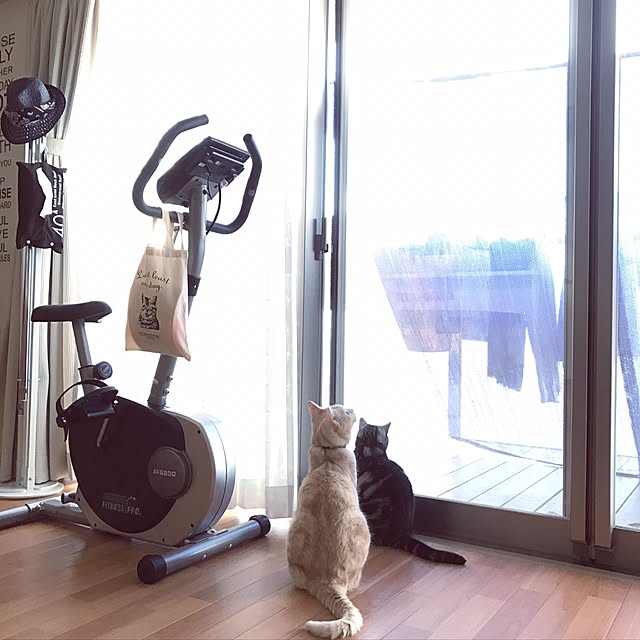 hiyupan88さんの実例写真