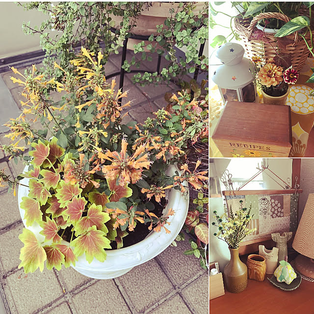 uchidaizuさんの実例写真