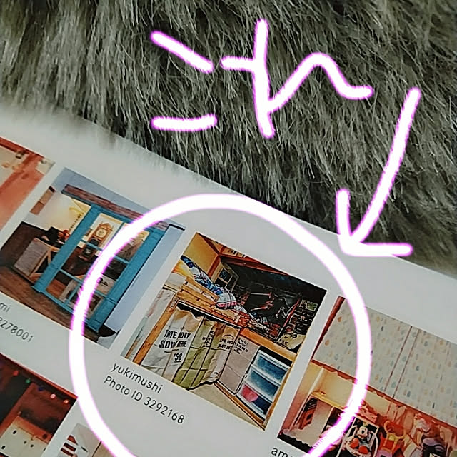 yukimushiさんの実例写真