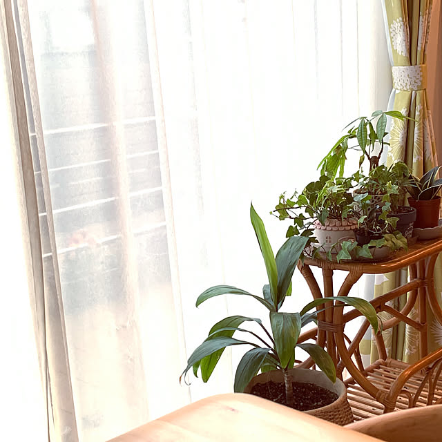 Tomokoさんの実例写真